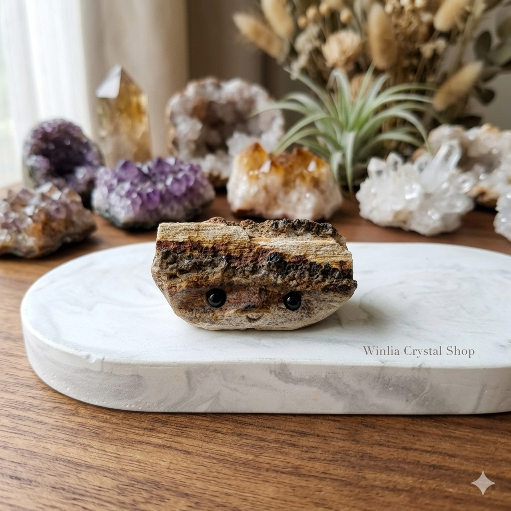 Petrified Wood Hedgie Pet Rock P0102