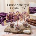 Citrine Amethyst Crystal Tree Pot Glass