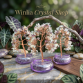 Fluorite with Amethyst Crystal Tree